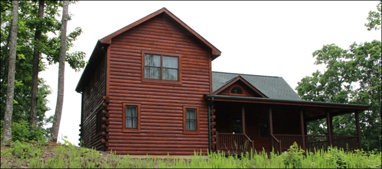 Professional Log Home Borate Application  Washington County, Virginia